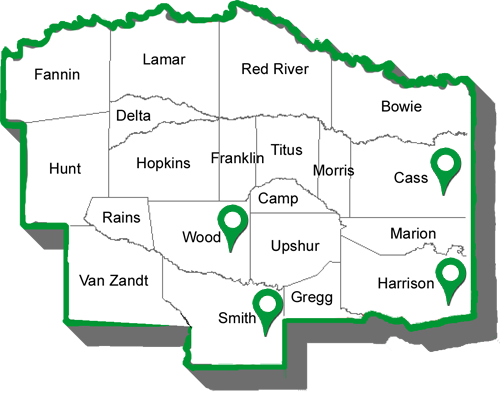 Texas Regions