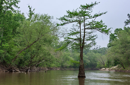 Village Creek State Park