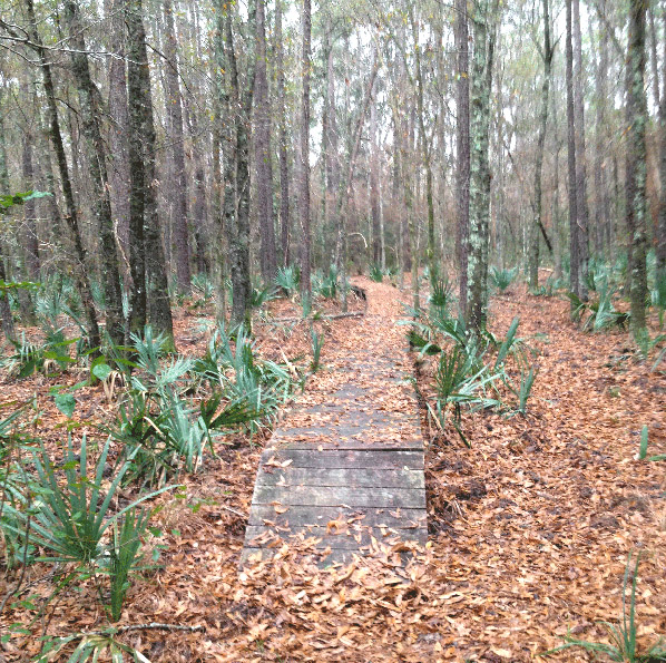 Winters Bayou Scenic Area