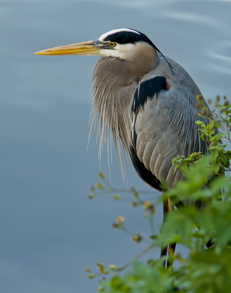 Neches River National Wildlife Refuge