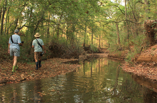 Banita Creek Trail